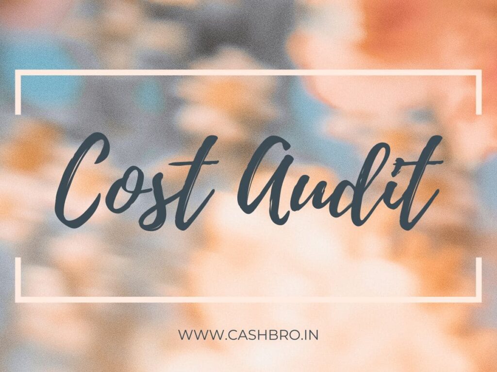 Cost Audit