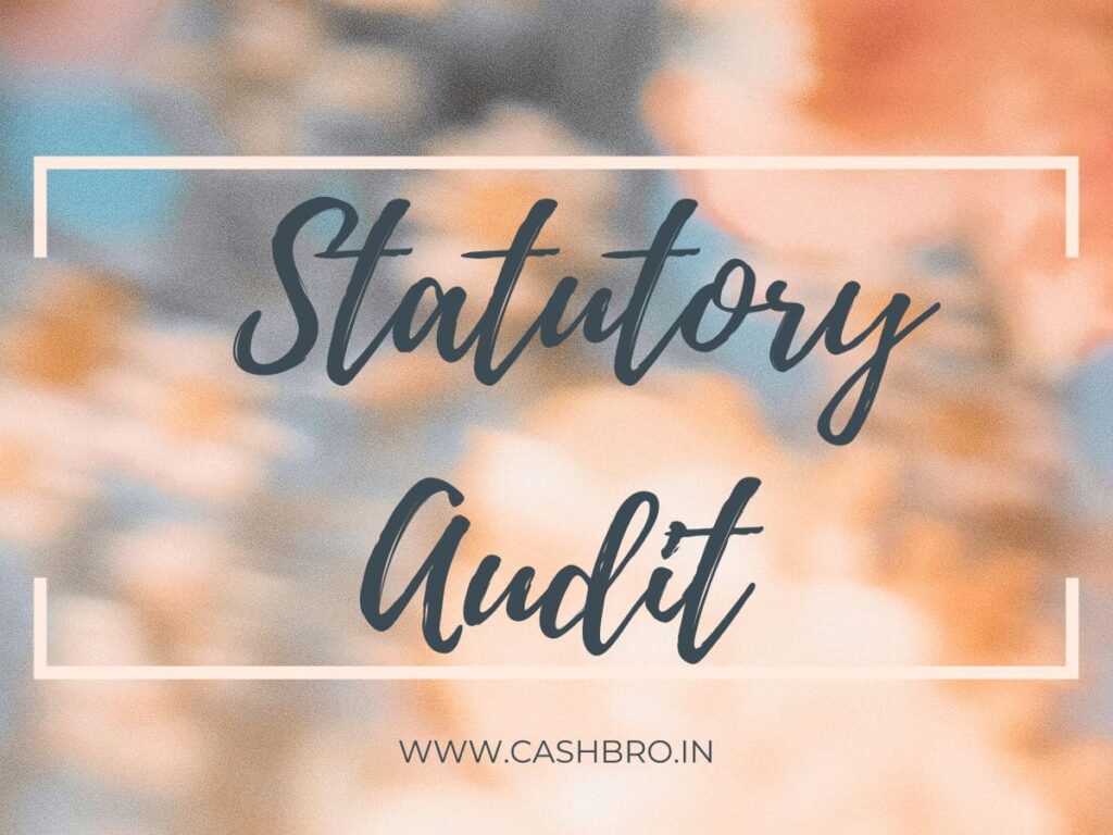  Statutory Audit